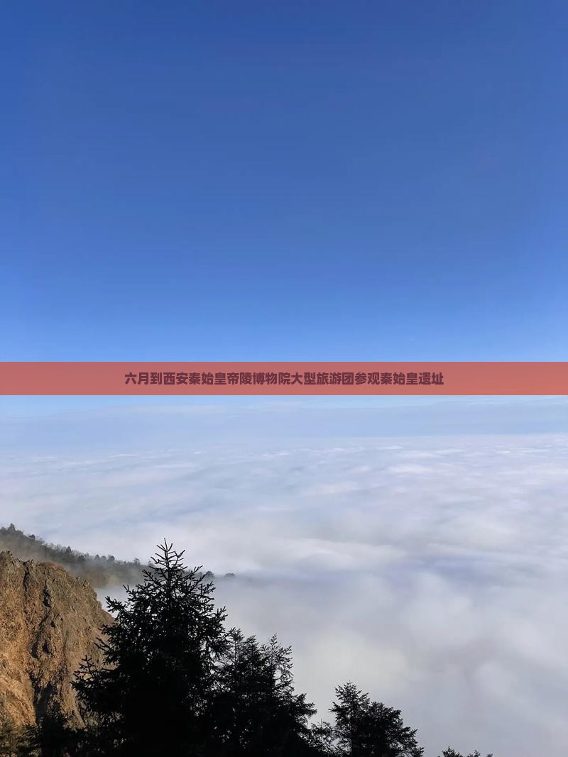 六月到西安秦始皇帝陵博物院大型旅游团