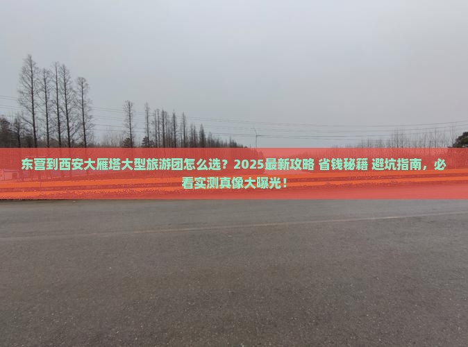 东营到西安大雁塔大型旅游团