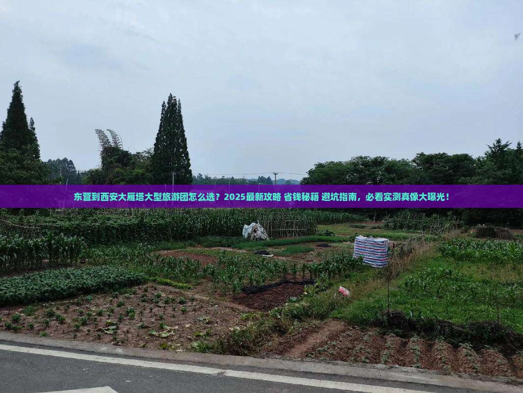 东营到西安大雁塔大型旅游团