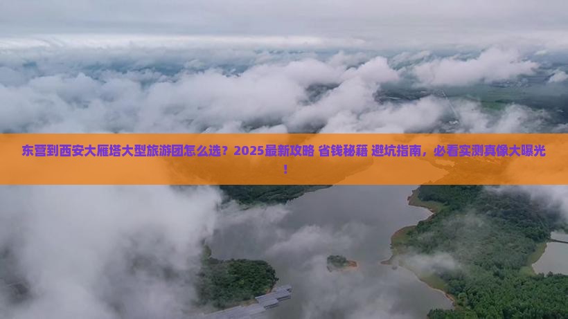 东营到西安大雁塔大型旅游团