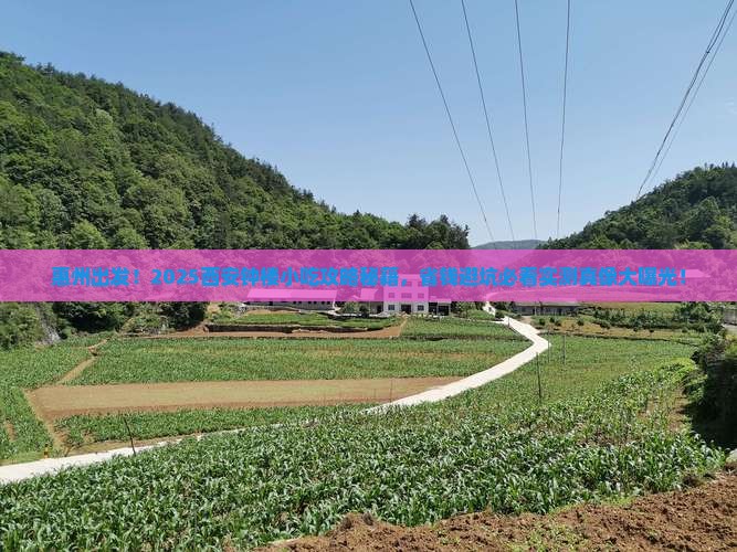 惠州到西安钟楼旅游小吃