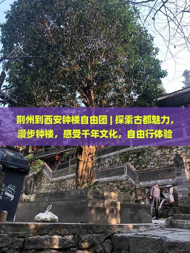 荆州到西安钟楼自由团