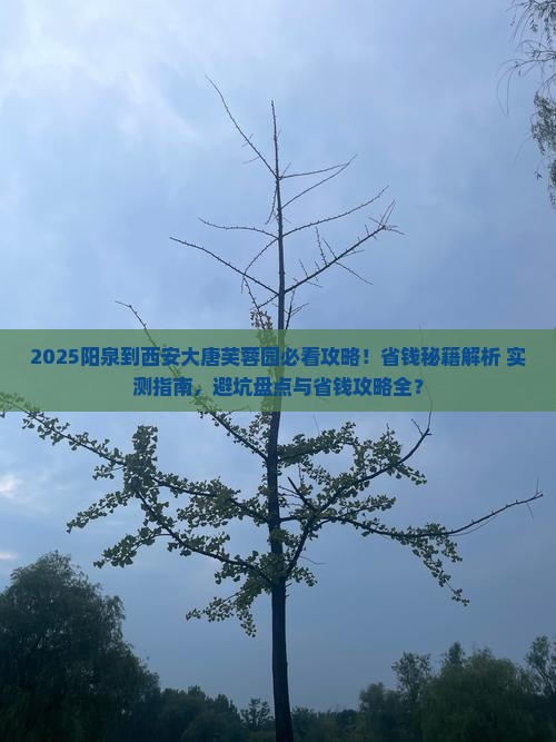 阳泉到西安大唐芙蓉园攻略