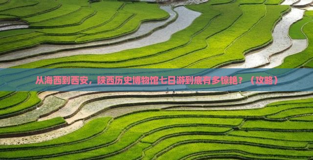 海西去西安陕西历史博物馆七日游