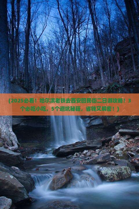 哈尔滨去西安回民街二日游