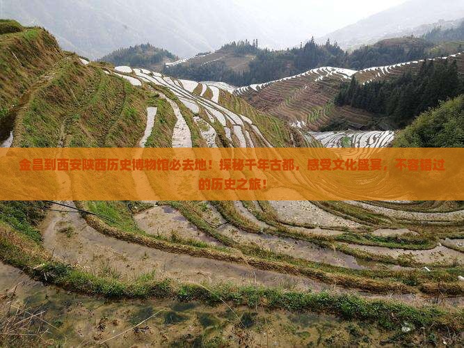 金昌到西安陕西历史博物馆必去地