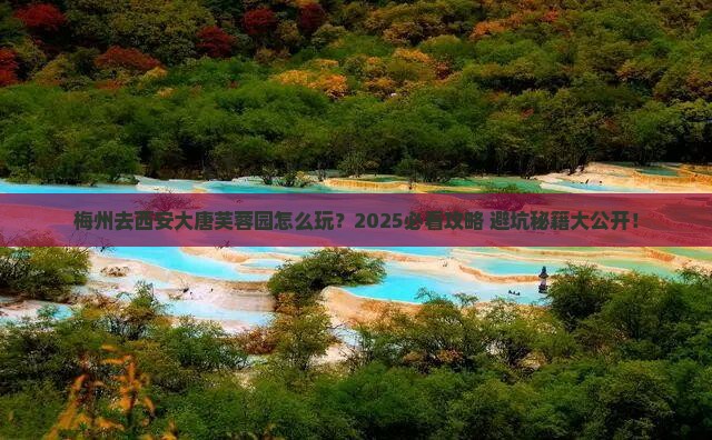 梅州去西安大唐芙蓉园哪里玩 梅州去西安大唐芙蓉园哪里玩