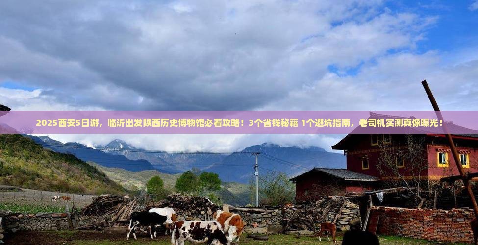 临沂去西安陕西历史博物馆大型旅游团