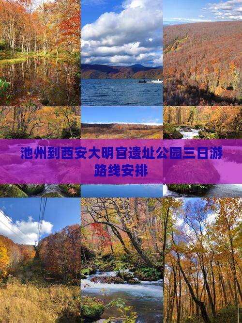 池州到西安大明宫国家遗址公园三日游