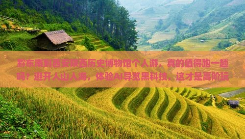 黔东南到西安陕西历史博物馆个人游