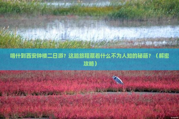 喀什到西安钟楼二日游