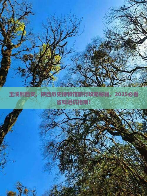 玉溪到西安陕西历史博物馆旅游