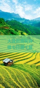 大理到西安钟楼七日游 大理到西安钟楼七日游