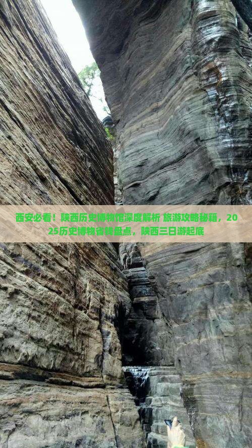 长春到西安陕西历史博物馆三日游