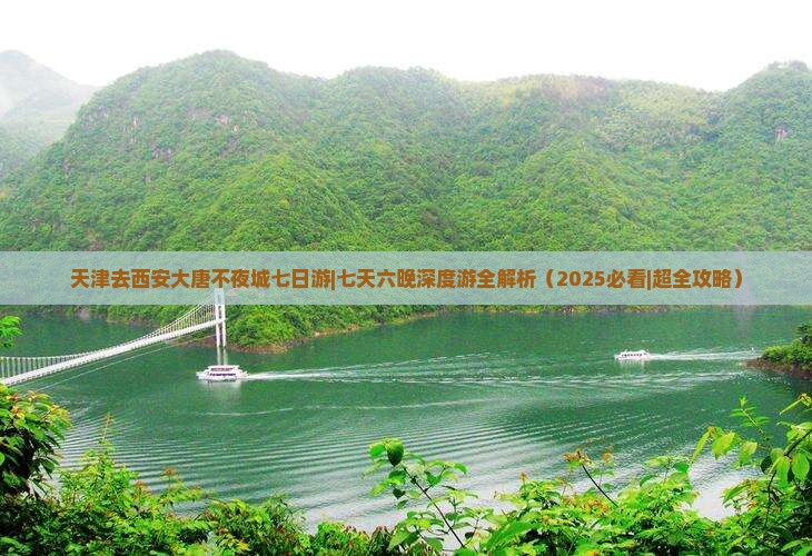 天津去西安大唐不夜城七日游