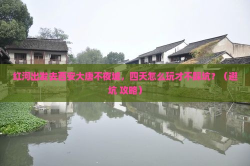 红河去西安大唐不夜城四日游