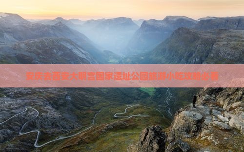 安庆去西安大明宫国家遗址公园旅游小吃