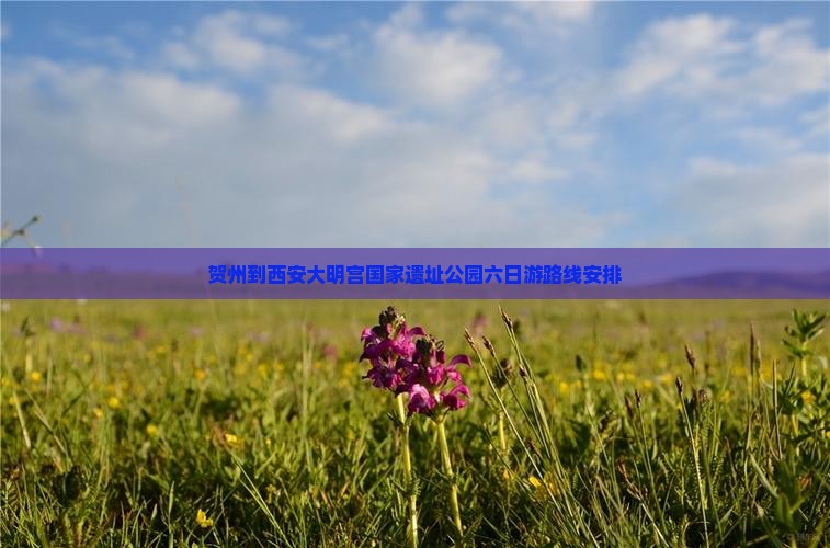 贺州到西安大明宫国家遗址公园六日游