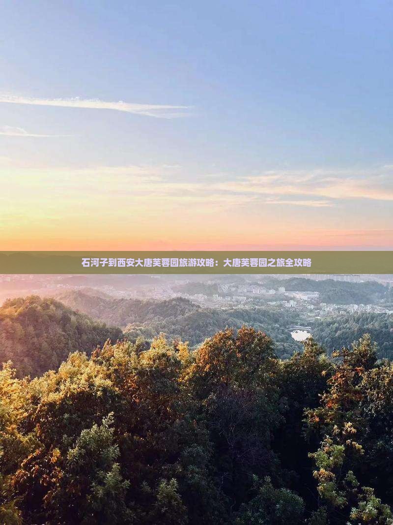 石河子到西安大唐芙蓉园旅游