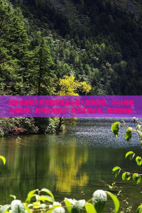 宜春去西安大明宫国家遗址公园大型旅游团 宜春去西安大明宫国家遗址公园大型旅游团