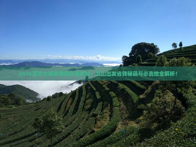 文山到西安大唐芙蓉园必去地
