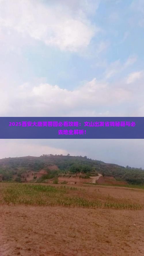 文山到西安大唐芙蓉园必去地