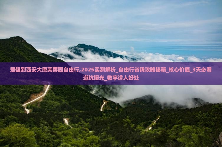楚雄到西安大唐芙蓉园自由行