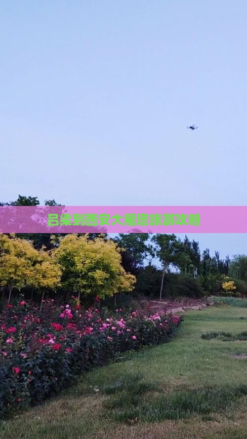 吕梁到西安大雁塔景点