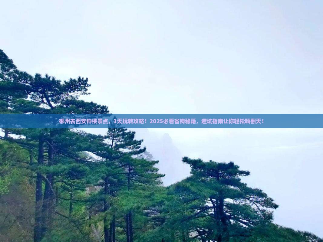 郴州去西安钟楼景点