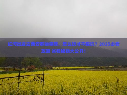 红河去西安秦始皇帝陵博物院攻略