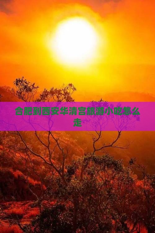 合肥到西安华清宫旅游小吃