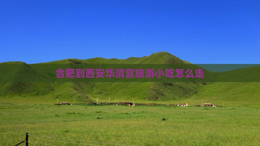 合肥到西安华清宫旅游小吃