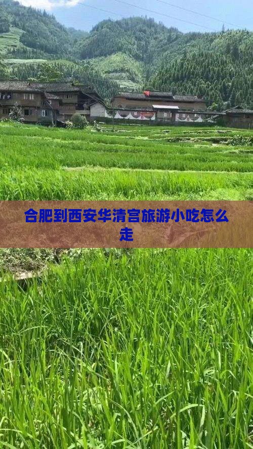 合肥到西安华清宫旅游小吃