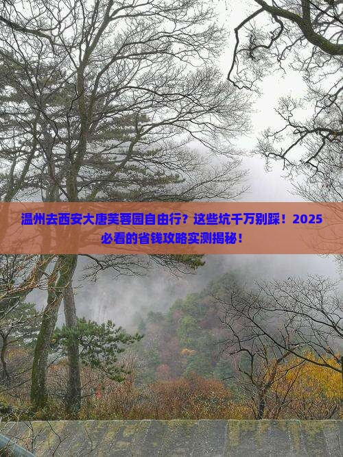 温州去西安大唐芙蓉园自由行