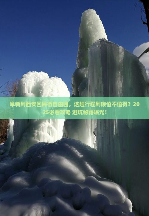 阜新到西安回民街自由团