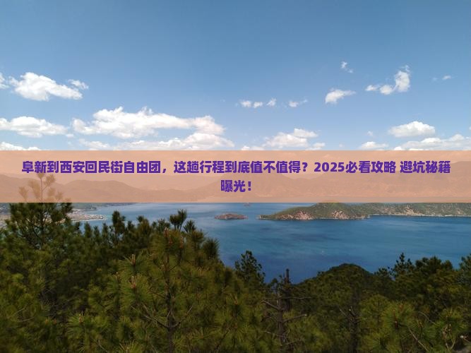 阜新到西安回民街自由团
