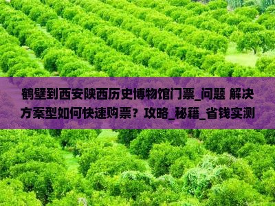 鹤壁到西安陕西历史博物馆门票