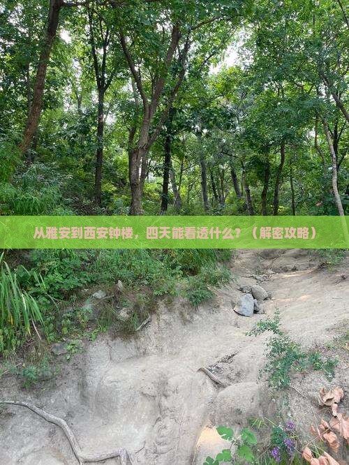 雅安到西安钟楼四日游