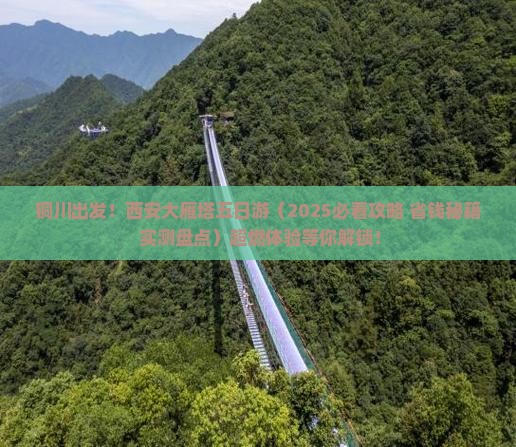 铜川去西安大雁塔五日游