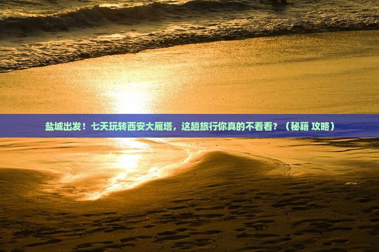盐城到西安大雁塔七日游