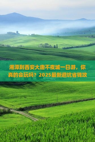 湘潭到西安大唐不夜城一日游