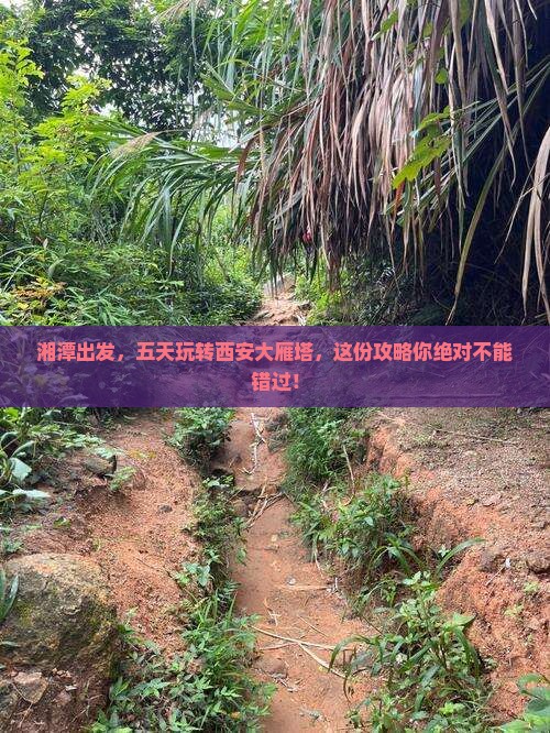 湘潭到西安大雁塔五日游