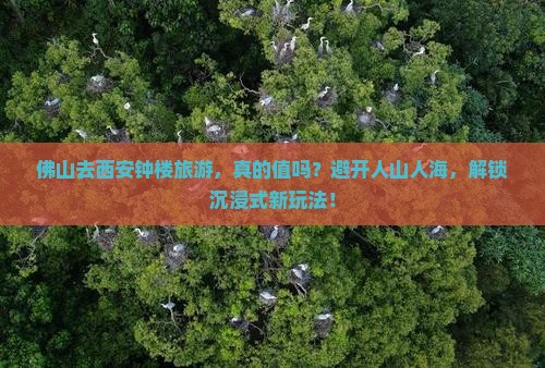 佛山去西安钟楼旅游