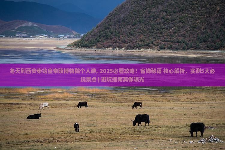 冬天到西安秦始皇帝陵博物院个人游