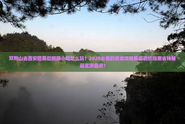 双鸭山去西安回民街旅游小吃