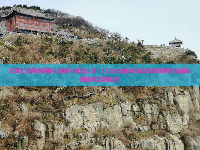 双鸭山去西安回民街旅游小吃