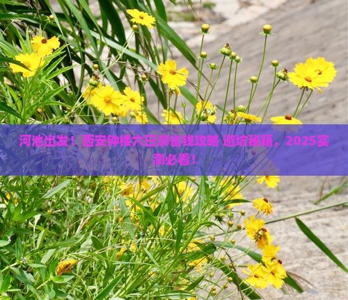 河池到西安钟楼六日游
