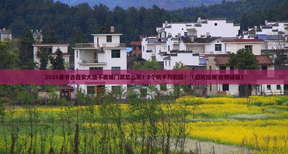春节去西安大唐不夜城门票