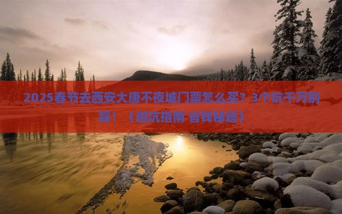 春节去西安大唐不夜城门票