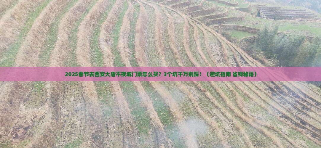 春节去西安大唐不夜城门票